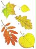 baum buch 6_1